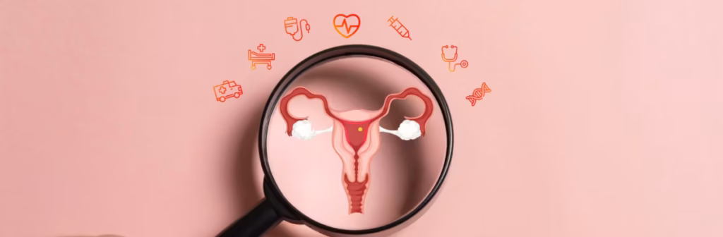 Diagram of womens reproductive system - Medical Negligence and Inequality at the Heart of Women's Healthcare featured image